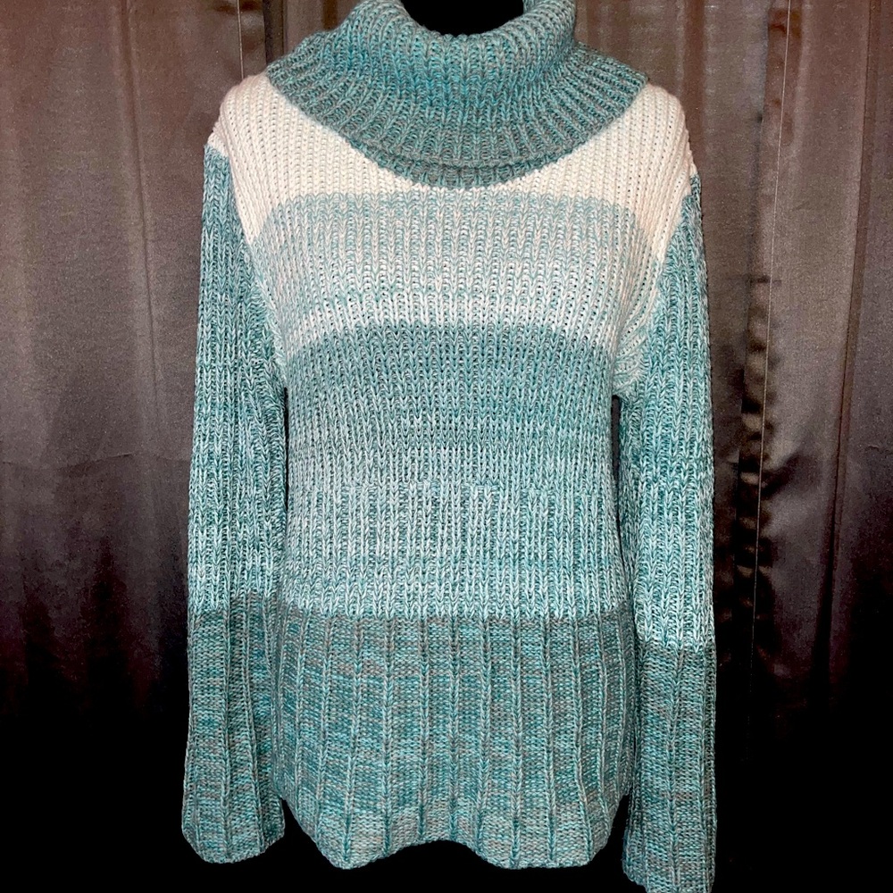 Dress Barn Plus Sweater